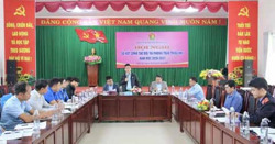 Tổ chức 135 "Ngày hội đọc sách" cho thiếu nhi