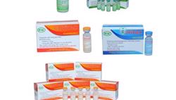 Khởi động Chương trình nghiên cứu thử nghiệm lâm sàng Covivac