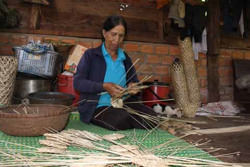 Khó "khai tử" hợp tác xã ngừng hoạt động