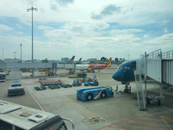 Vé máy bay Tết bắt đầu "tăng nhiệt"