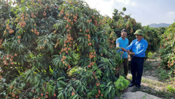 Nông dân chung sức xây dựng nông thôn mới