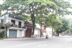 Tỷ lệ giải ngân vốn đầu tư cơ bản đạt thấp