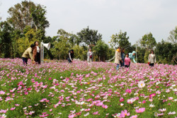 8X đam mê du lịch nông nghiệp