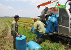Phát triển nông nghiệp gắn với du lịch Công viên địa chất Đắk Nông