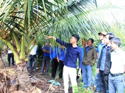 Làm giàu trên quê hương