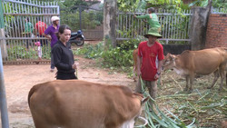 Trao "cần câu" giúp hộ nghèo phát triển kinh tế