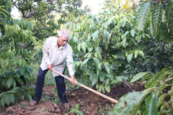 Bí thư chi bộ "miệng nói tay làm"