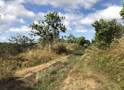 Cần tận dụng có hiệu quả nguồn vốn đầu tư của Trung ương