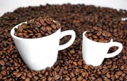 Giá cà phê hôm nay 1/10: Thị trường cà phê tăng nhẹ