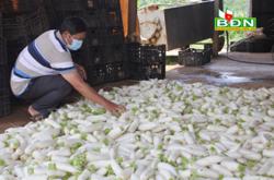 Giải pháp nào cho đầu ra nông sản trong mùa dịch ?