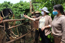 Huyện Krông Pắc: Lan tỏa cuộc vận động “Xây dựng gia đình 5 không, 3 sạch”