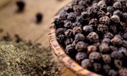 Giá tiêu hôm nay 12/10: Sắp sửa chạm mốc 90.000 đồng/kg