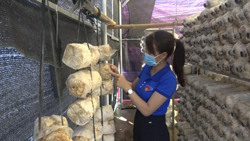 Khởi nghiệp của thanh niên ở vùng biên Ea Súp