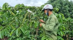 Nông dân chóng mặt vì giá phân bón