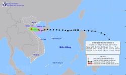 Bão số 8 suy yếu thành áp thấp nhiệt đới