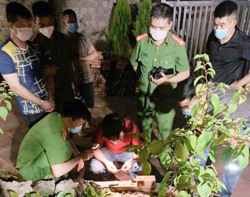 Phấn đấu đến năm 2025, triệt xóa trên 80% số điểm nóng về ma túy trên địa bàn tỉnh