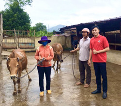 Huyện Krông Bông: Hiệu quả từ các chương trình nhân đạo
