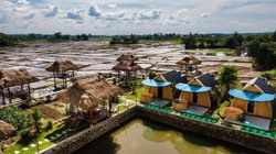 Đưa 3 điểm du lịch nông nghiệp - sinh thái vào hoạt động