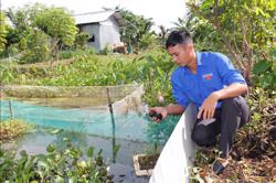 Nuôi ốc nhồi - hướng phát triển kinh tế hiệu quả