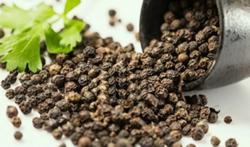 Giá tiêu hôm nay 21/10: Quay đầu giảm 500 - 1.000 đ/kg