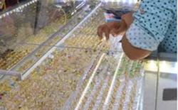 Giá vàng hôm nay 21-10: Nhảy vọt khi USD kém hấp dẫn