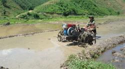 Hết cảnh thiếu ăn vì biết trồng lúa nước