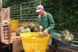 Giải cứu tư duy để giải cứu thị trường