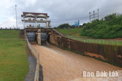 Các hồ thủy lợi chủ động điều tiết nước để phòng lũ