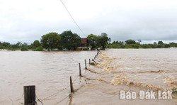 Tăng cường thông tin tuyên truyền ứng phó mưa lũ