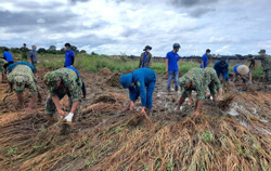 Xuống đồng giúp dân sau bão lũ