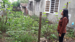 Cấp sổ đỏ... trên giấy!