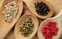 Giá tiêu hôm nay 26/10: Tăng nhẹ vài nơi