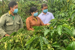 Hướng đi triển vọng cho sản xuất nông nghiệp ở Đắk Phơi