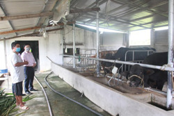 Dư nợ cho vay uỷ thác đạt 5.593 tỷ đồng