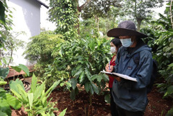 Dự án đường Hồ Chí Minh đoạn tránh phía Đông TP. Buôn Ma Thuột: Tập trung triển khai công tác giải phóng mặt bằng