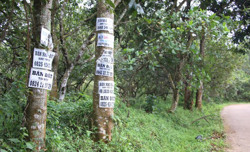 "Cơn sốt" thị trường bất động sản ven đô (kỳ 1)