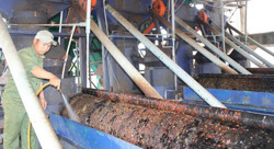 Khuyến khích doanh nghiệp đổi mới công nghệ chế biến cà phê