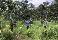 Đồn Biên phòng Ea H’leo phát hiện và xử lý 2 đối tượng vi phạm quy chế biên giới