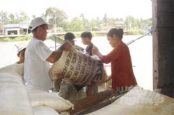 Giá phân bón tăng nóng trở lại