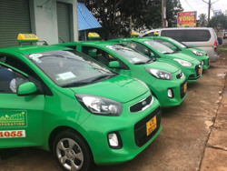 Taxi trên địa bàn TP. Buôn Ma Thuột được hoạt động 100% phương tiện