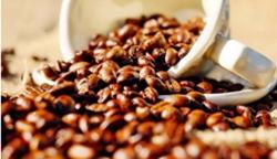 Giá cà phê hôm nay 5/10: Giảm khoảng 300 đồng/kg