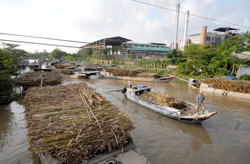 Đường nhập khẩu ồ ạt tràn vào Việt Nam