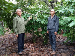 Đảng viên cao tuổi người Nùng nêu gương sáng