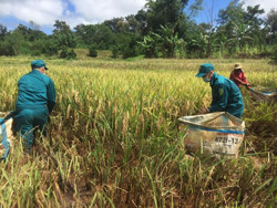 Căng mình chốt trực, tích cực giúp dân