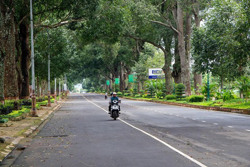 Cần lắm những mảng đô thị xanh