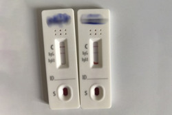 Không nên đổ xô đi test kháng thể COVID-19