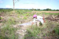Huyện Buôn Đôn: Xem xét lại thửa đất được cấp Giấy chứng nhận quyền sử dụng có thuộc khu nghĩa trang?
