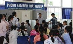 Hơn 20 nghìn người lao động không nhận hỗ trợ Quỹ Bảo hiểm thất nghiệp