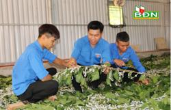 Hành trang cho thanh niên khởi nghiệp