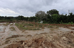 Người dân bất an vì sống gần bãi đổ bùn thải